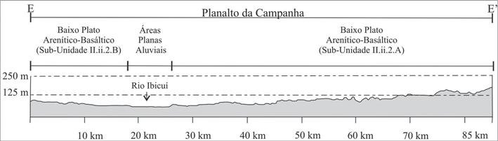 A proximidade dos grandes rios e o relevo plano-ondulado gera solos com drenagem deficiente, formando horizonte plíntico (Plintossolos).