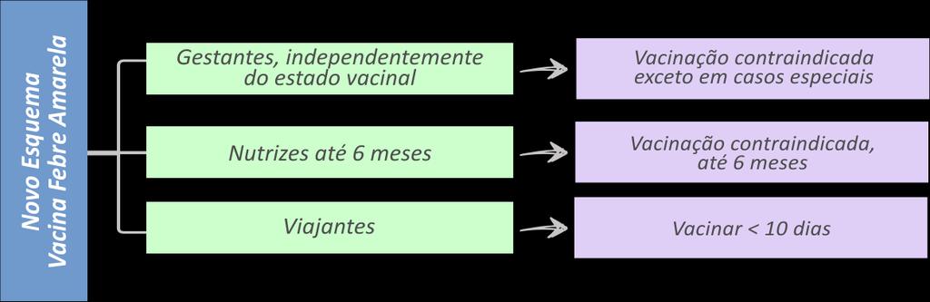 A vacina contra febre amarela é a medida mais importante para prevenção e controle da doença.