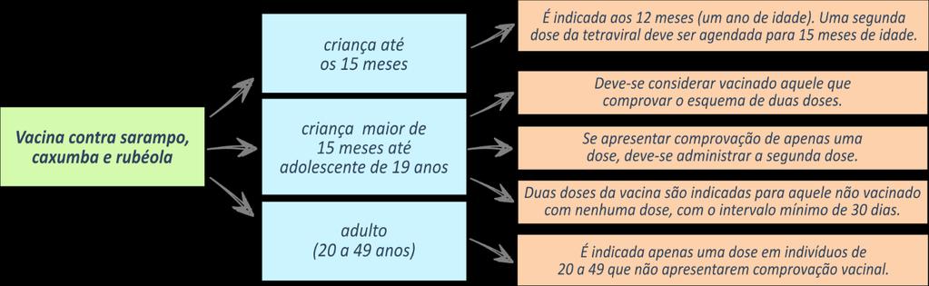 COMENTÁRIOS: Crianças de 6 meses a 2 anos de idade devem receber 2 doses da vacina contra influenza, na dosagem de 0,25 ml. O intervalo mínimo entre as doses é de 4 semanas.