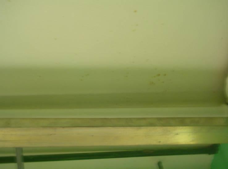 Foto 47 Manchas no teto. SALA 205 Laboratório microbiologia do solo. Problemas encontrados: Ventilação; Reboco; Revestimento bancada fórmica.