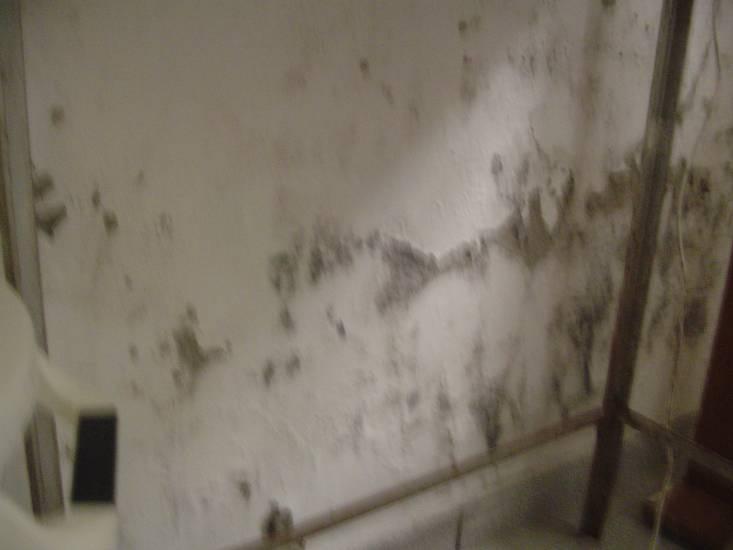 Foto 91 Umidade excessiva com manchas de mofo e descolamento de reboco. SALA 307 Laboratório de Cultura Celular/Sala de Apoio.