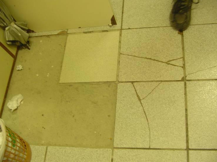 Foto 132 Revestimento cerâmico quebrado ou faltante. Existe uma lâmpada queimada no banheiro feminino. CIRCULAÇÃO Ligação 3º/4º pavimento.