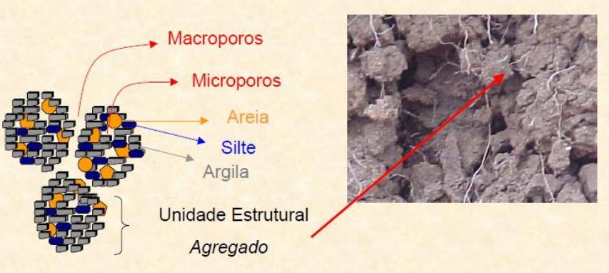 Estrutura e agregação Macroporos Microporos