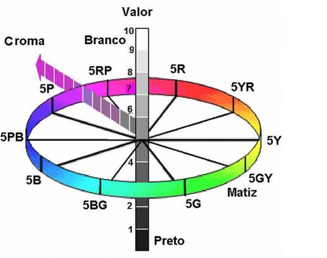 COR Distribuição dos componentes da cor