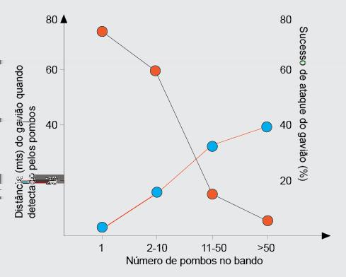 Observe os dados fornecidos pelo gráfico que apresenta os resultados de um experimento realizado para a análise da eficiência de ataques de gaviões a pombos.