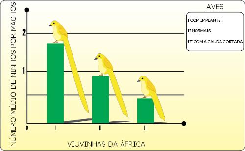 Analise os dados expressos no gráfico e, em seguida, aponte o tipo de seleção apresentada e sua classificação. A.