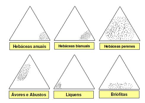 Diversidade de estratégias