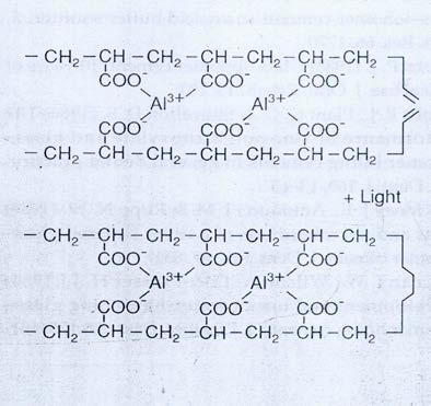 O material é apresentado tanto como um sistema pó/líquido, com o pó consistindo em um vidro de fluoraminosilicato radiopaco e um líquido fotoativado mantido em um frasco escuro (para ficar protegido