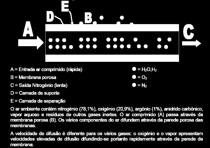 manómetro especial p/azoto PNEUREX Manómetro verificação pressão ar.