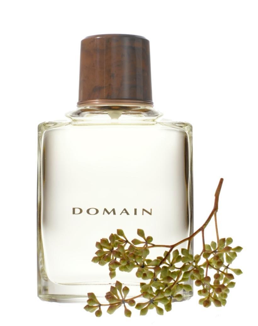 Domain Envolva-o com o perfume Domain Cologne.