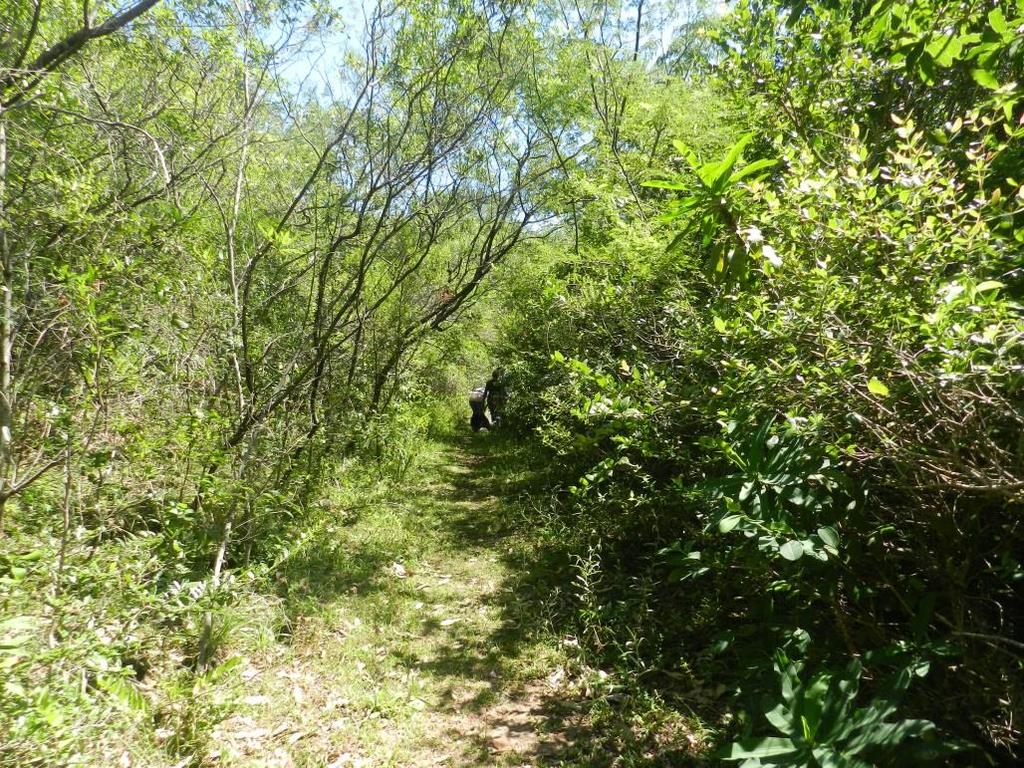 Estadual de Itapuã, entre outubro de 2012 e