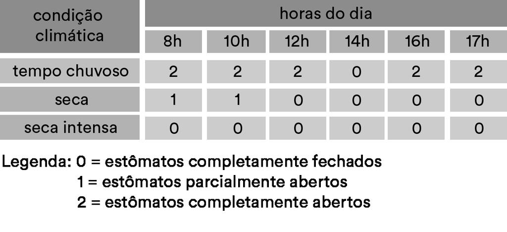 Depois de ler o texto, os alunos podem supor que, em Jurubatiba, os vegetais que sobrevivem nas áreas planas têm características tais como: a) quantidade considerável de folhas, para aumentar a área