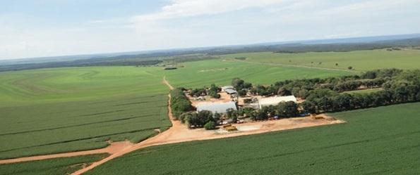 809,00 Município: Campo Novo dos Parecis Outros Ativos: 1 Armazém (Arrendado) e 1 Armazém (Próprio)