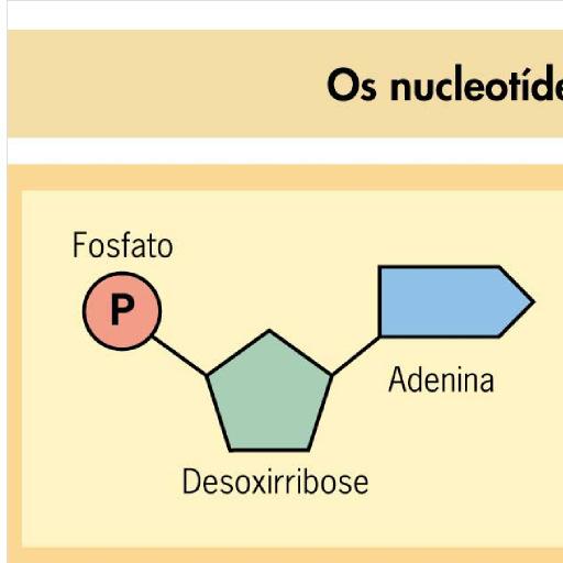 14 AS PIIPAIS DIFEEÇAS ETE S ÁIDS