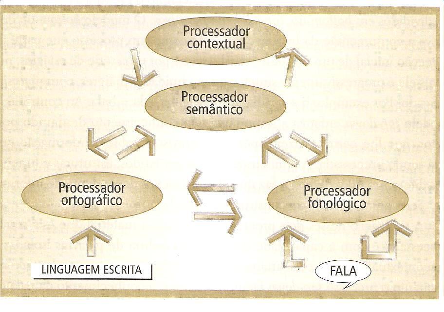 61 processador atende a um sistema alfabético de suporte, indispensável à manutenção da velocidade e à exatidão do reconhecimento da palavra necessária à leitura produtiva e também promove um meio de