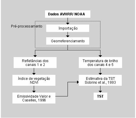 15 Figura 5. Fluxograma dos procedimentos adotados no processamento das imagens NOAA. Figura 6. Composição da imagem segundo o critério do máximo valor de NDVI. Fonte: Ferreira et al., 2004.