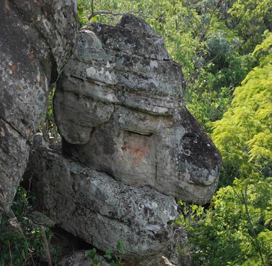 Densas e variadas vegetações do entorno, bem conservada, garantem um status de sítio preservado.