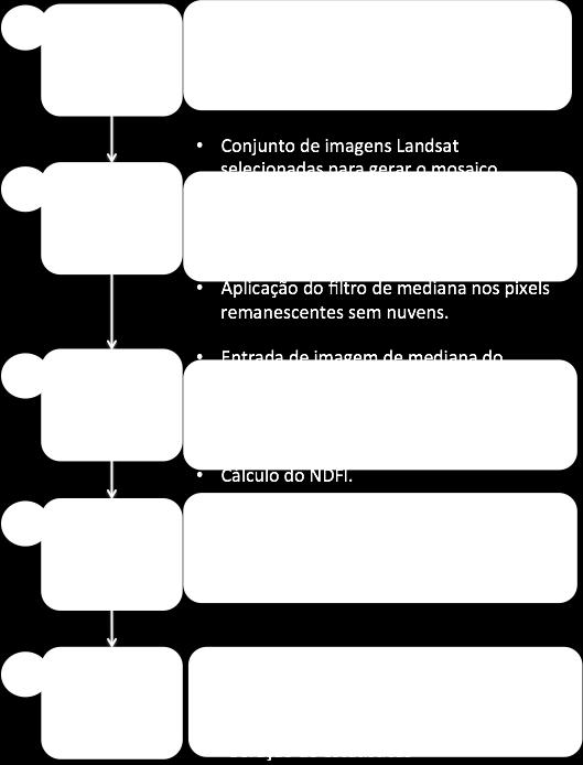 O processamento das imagens Landsat é conduzido na plataforma Google Earth Engine, baseada em nuvens de computadores, e segue cinco etapas para o