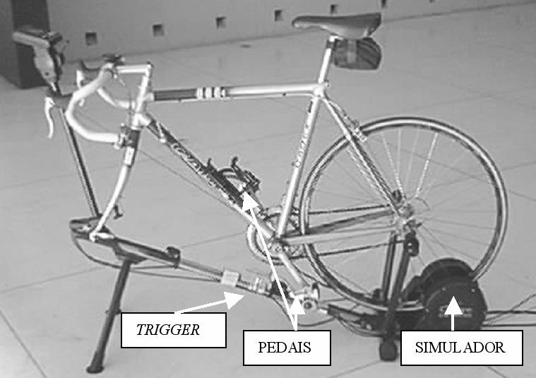 Uma velocidade inicial de partida, normalizada para os sujeitos foi determinada em testes preliminares, de forma que a atividade, que consistiu em aumentar a velocidade em 2 km/h a cada 30 s,