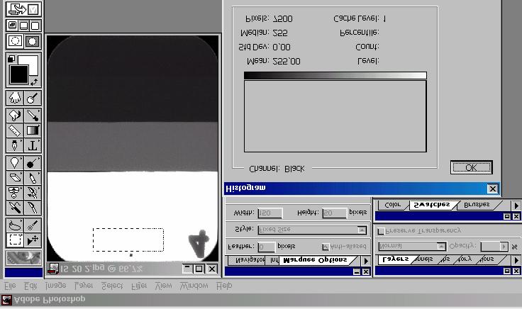 FIGURA 6 Demonstração da tela do monitor com uma radiografia no Programa Adobe Photoshop 5.