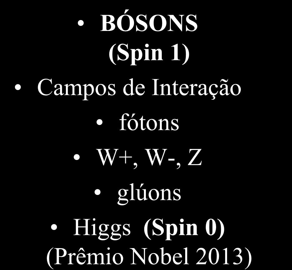 de Interação fótons W+, W-, Z glúons Higgs