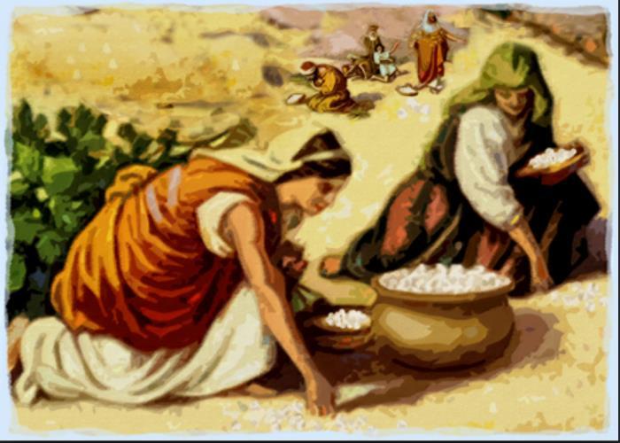 Êxodo 16.31 A casa de Israel deu-lhe o nome de maná. Era como semente de coentro; era branco, e tinha o sabor de bolos de mel.
