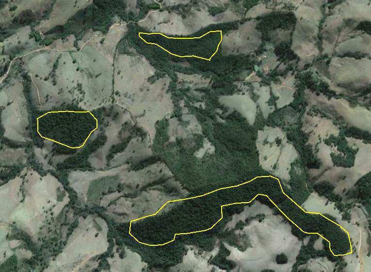 Área 1: Nessa área é possível verificar que o Atlas inclui no mapeamento 3 fragmentos bem conservados, com áreas de 5, 6 e 22 hectares.