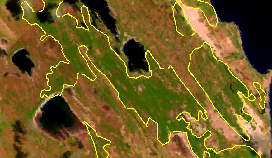 - Restinga arbórea O mapeamento das formações de restinga inclui a vegetação florestal de restinga. Área de ocorrência de restinga florestal (delimitado em amarelo) no Rio Grande do Norte.