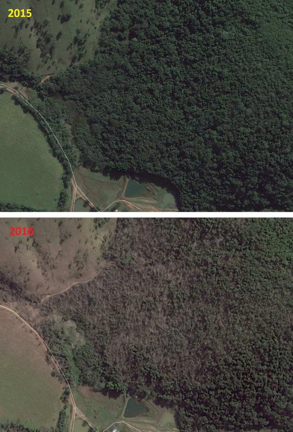 Ás áreas em Atibaia atingidas pelos vendavais seguem os mesmos padrões identificados nas imagens de satélite.