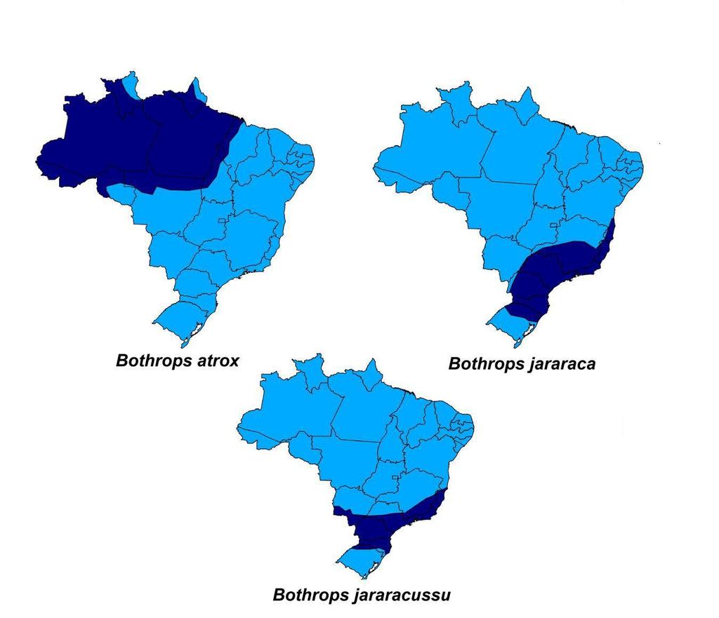 6 Figura 4 Distribuição de 3 espécies do gênero Bothrops no Brasil [8].