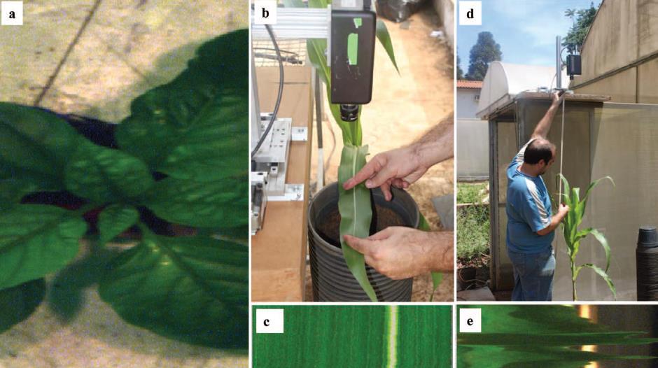 (2013; 2014) Applied Spectroscopy, 67:11,