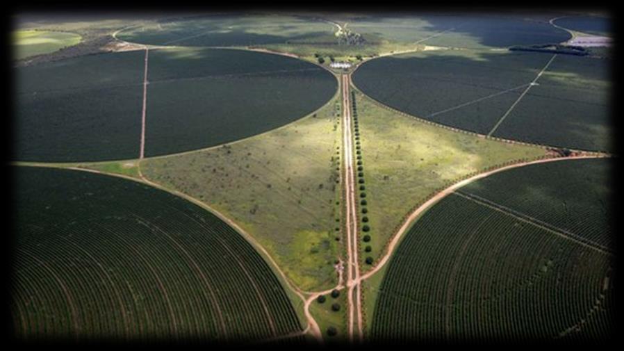 Agricultura dinâmica Ocupação de pastagens e áreas de Cerrado Áreas irrigadas Sucessão e rotação de culturas Plantio direto Novas