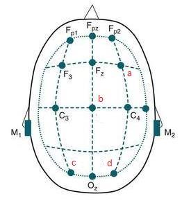 Dessa forma, os eletrodos são assim denominados: Região cortical Esquerdo Linha sagital Direito Polo do lobo frontal Fp1 Fpz Fp2 Lobo frontal F3 Fz F4 Região central C3 Cz C4 Lobo parietal P3 Pz P4