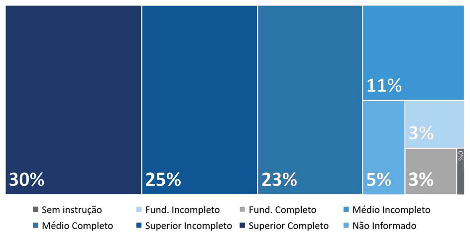 Gráfico 4 - Entrevistados por nível de escolaridade (%) Cerca de 48% dos participantes apresentaram ensino médio completo, segundo os níveis de escolaridades apontados (médio completo mais superior