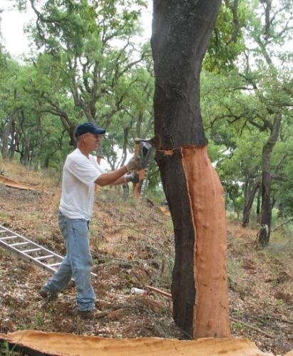 Traçamento da prancha de cortiça Rendimento da