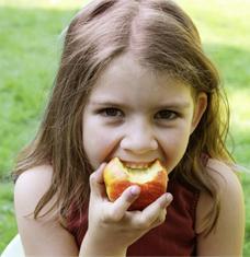 O REGIME DA FRUTA ESCOLAR EM PORTUGAL Uma Estratégia