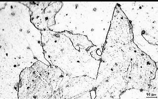 RESULTADOS E DISCUSSÕES LOURENÇO et alli (2005) As micrografias mostradas abaixo foram obtidas das amostras de aço IF,