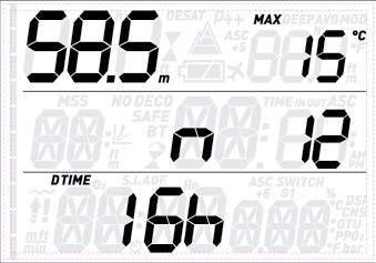 Em especial, a profundidade máxima já atingida, a quantidade total de mergulhos, a quantidade total de horas gastas debaixo d'água e a temperatura da água mais fria já registrada.