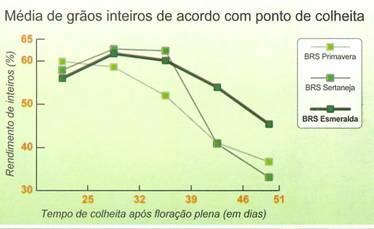 Figura: Rendimento de inteiros (%) em função do momento