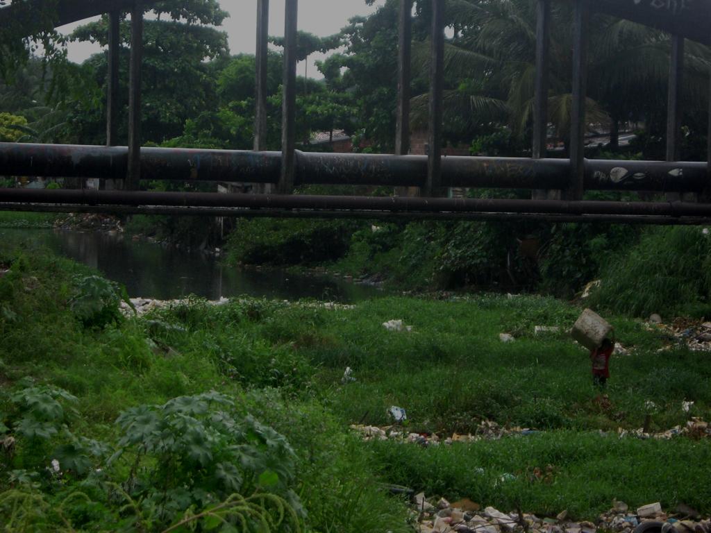 Gestão de Resíduos e Limpeza Urbana. Coleta de Resíduos da Saúde. Incineração. Coleta de Resíduos da Construção Civil.