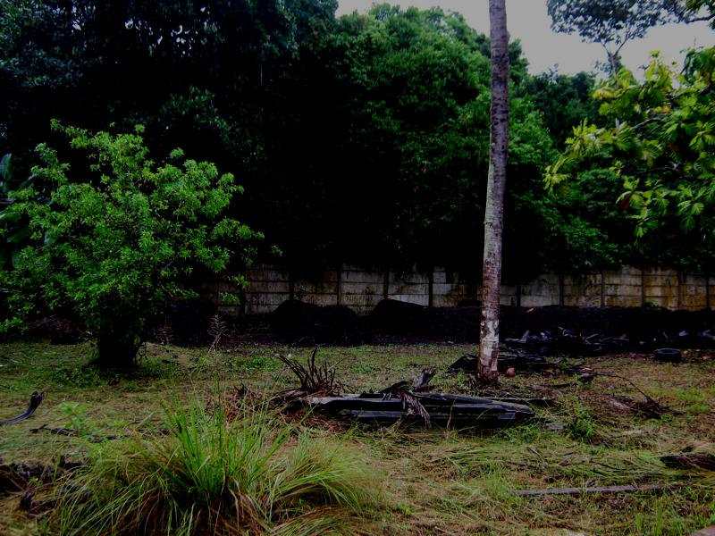 Gestão de Resíduos e Limpeza Urbana. Poda de Árvores. Compostagem. Coleta de Resíduos Flutuantes.