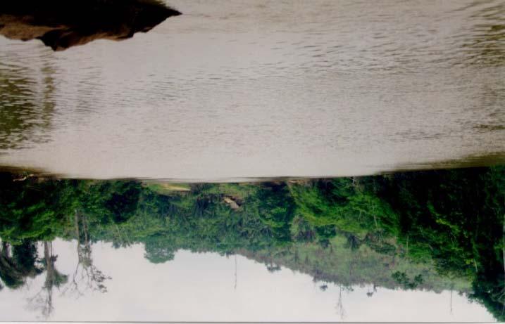 Fig. 2.4 Visão geral do rio Parauapebas próximo à cidade homônima.