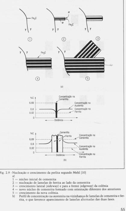 Estruturas atípicas com carbonetos esféricos ou em forma de bastonete arranjados irregularmente podem ser encontradas em maior quantidade.