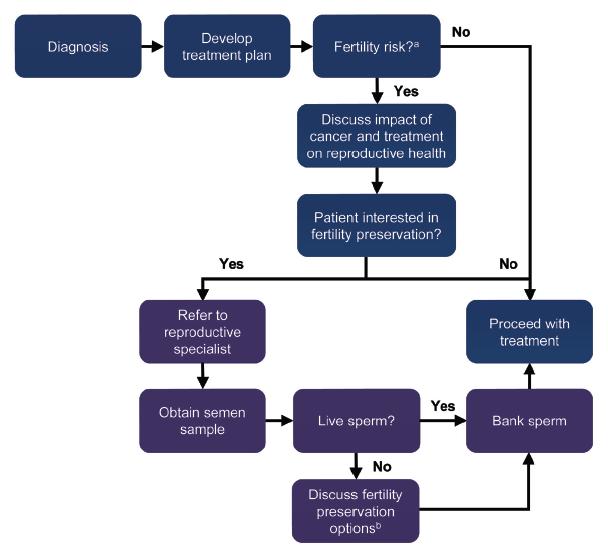 Preservação da Fertilidade em Homens com Cancro Diagnóstico Plano terapêutico Risco de fertilidade?