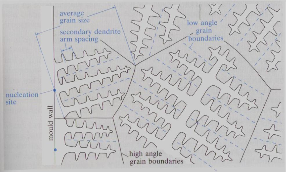 Formação de uma estrutura dendritica Relação com a estrutura de grão