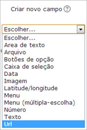 Atividades e recursos Exemplo: O objetivo do campo URL é inserir um item na base de dados que permita os estudantes a inserirem um endereço de uma página da internet como entrada de dado nesta base.