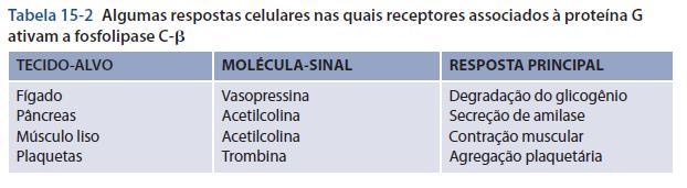 FUNÇÕES BIOLÓGICAS DO Ca ++ : - Início do