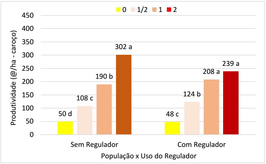 cultura do algodão.