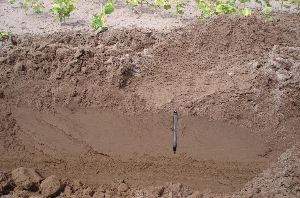 Manejo de solos arenosos: atual e proposta de manejos futuros (em solos sem aptidão agrícola para culturas anuais) Teores Nutrientes (P, K, S,
