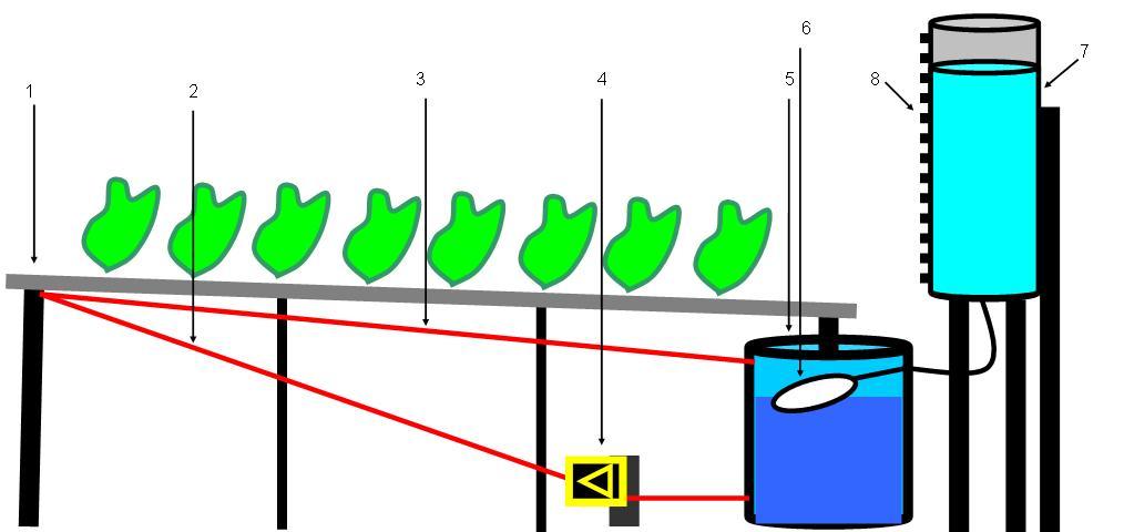 perfil em declive, sendo a gravidade a única força motriz. A diferença de nível entre a eletrobomba e o sistema injetor é de 0,76m.